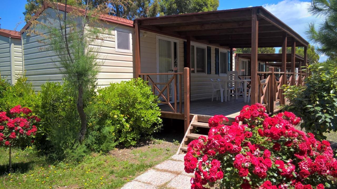 New Le Tamerici Holiday park